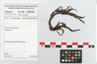 Etikett zu Textil (NHMW-PRAE-125784)